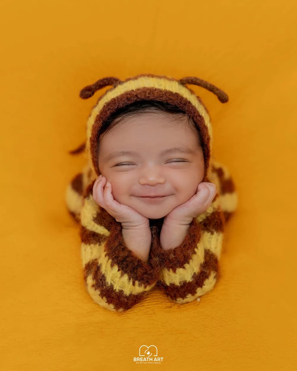 Little Honey Bee newborn photoshoot theme